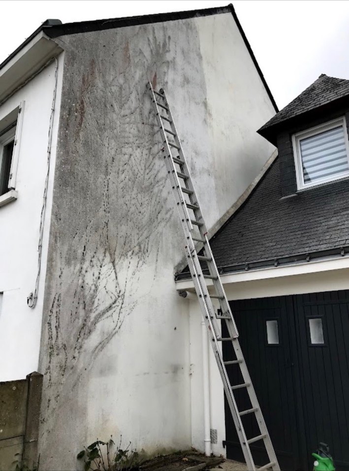 Pignon encrassé avant ravalement